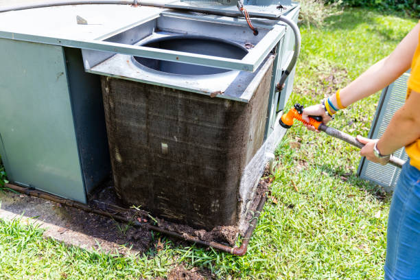 Best Dryer Vent Cleaning Services  in Heyworth, IL