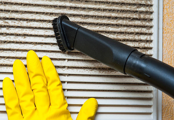 Best HVAC Maintenance and Cleaning  in Heyworth, IL